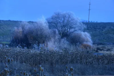 DSC_1001 (Large).JPG